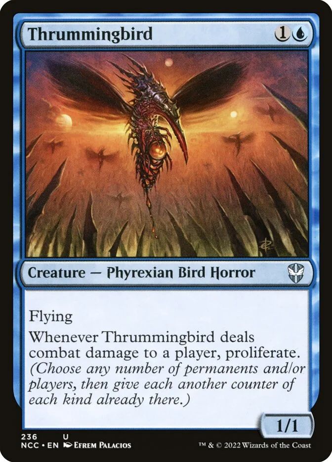 Thrummingbird 「NCC/236」「EN」