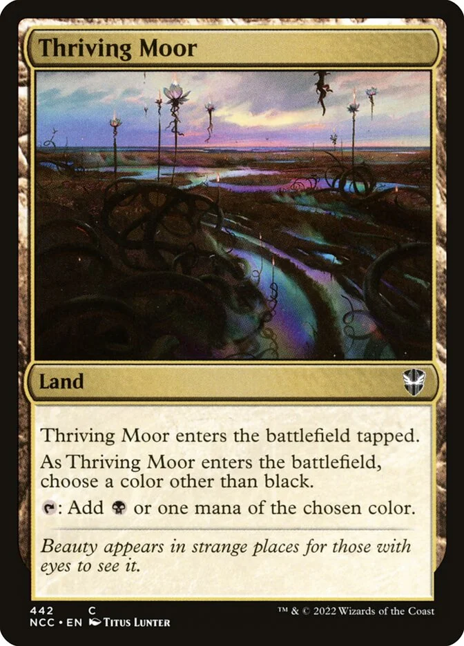 Thriving Moor 「NCC/442」「EN」