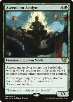 Ascendant Acolyte #24 · Magic: The Gathering