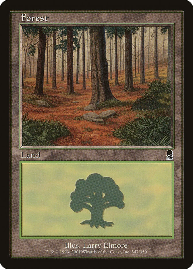 Forest 「ODY/347」「EN」