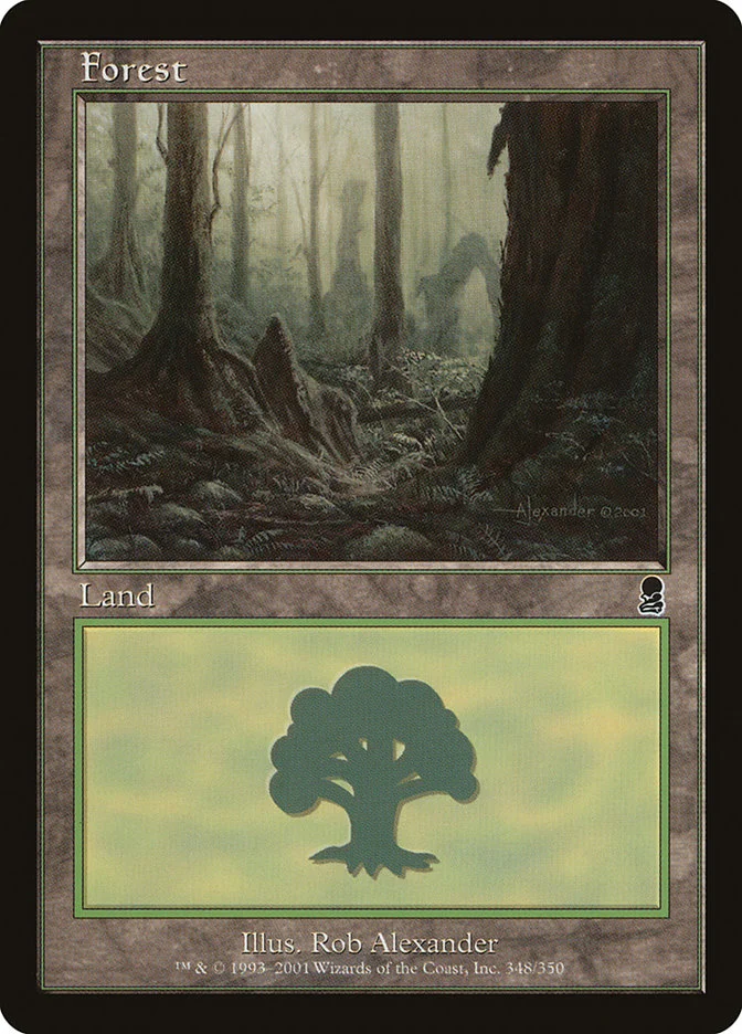 Forest 「ODY/348」「EN」