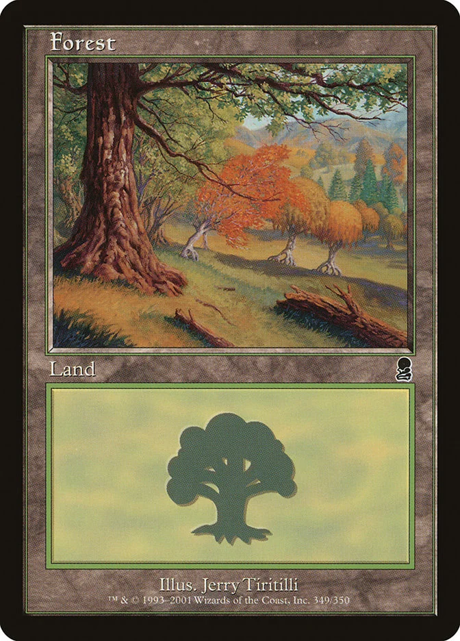 Forest 「ODY/349」「EN」