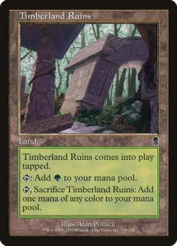 Timberland Ruins 「ODY/330」「EN」
