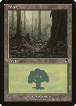 Forest 「ODY/348」「EN」