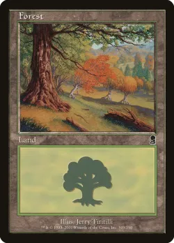 Forest 「ODY/349」「EN」