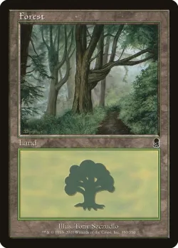 Forest 「ODY/350」「EN」