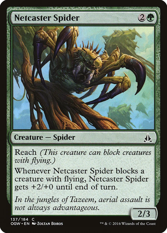 Netcaster Spider 「OGW/137」「EN」