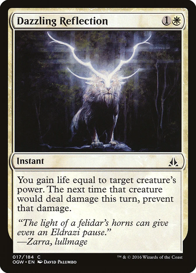 Dazzling Reflection 「OGW/17」「EN」