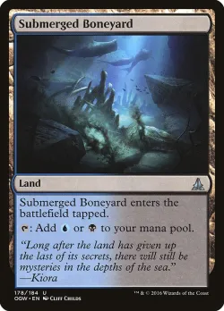 Submerged Boneyard 「OGW/178」「EN」