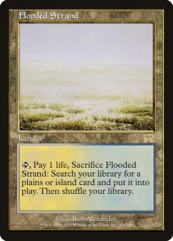 Flooded Strand 「ONS/316」「EN」
