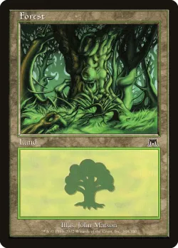 Forest 「ONS/348」「EN」