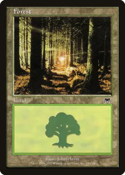 Forest 「ONS/349」「EN」