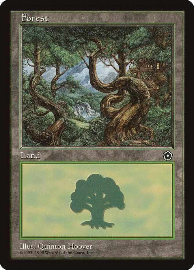 Forest 「P02/163」「EN」