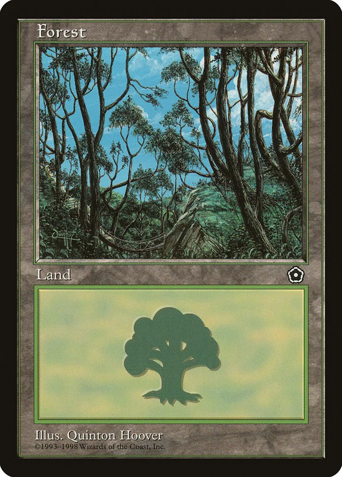 Forest 「P02/165」「EN」