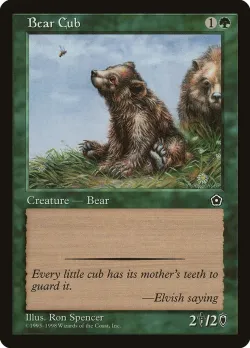 Bear Cub 「P02/123」「EN」