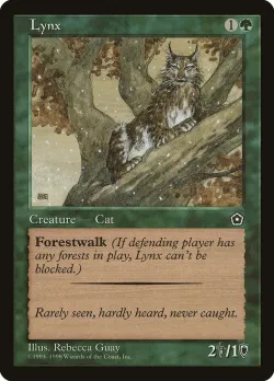 Lynx 「P02/132」「EN」
