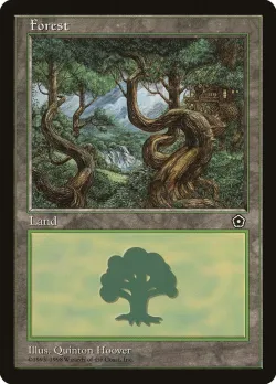 Forest 「P02/163」「EN」
