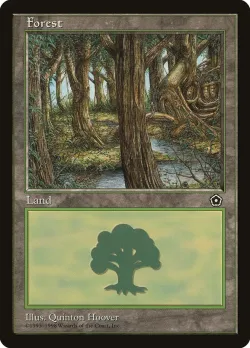Forest 「P02/164」「EN」