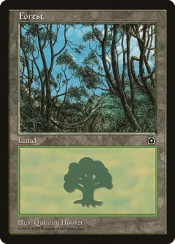 Forest 「P02/165」「EN」