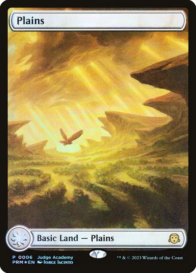 Plains 「P23/6」「EN」