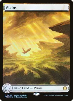 Plains 「P23/6」「EN」