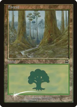 Forest 「PAL00/12」「EN」