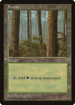 Forest 「PALP/1」「EN」