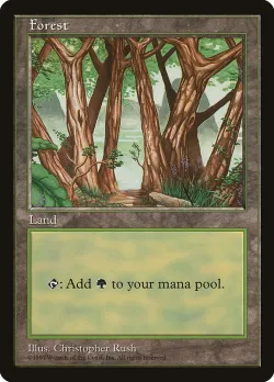 Forest 「PALP/6」「EN」
