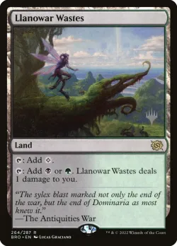 Llanowar Wastes 「PBRO/264p」「EN」