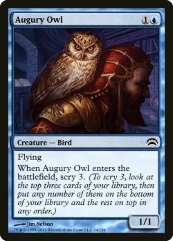 Augury Owl #14 · Magic: The Gathering