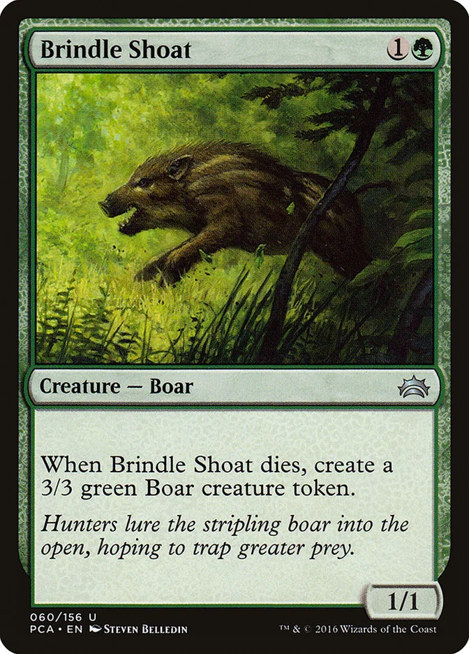 Brindle Shoat 「PCA/60」「EN」