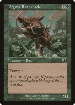 Pygmy Razorback 「PCY/120」「EN」