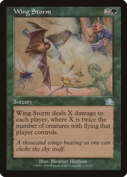 Wing Storm 「PCY/135」「EN」