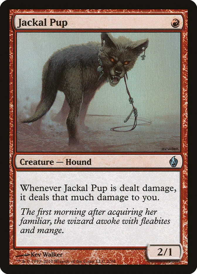 Jackal Pup 「PD2/2」「EN」