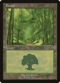 Forest 「PELP/6」「EN」
