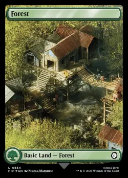 Forest #854 · Magic: The Gathering