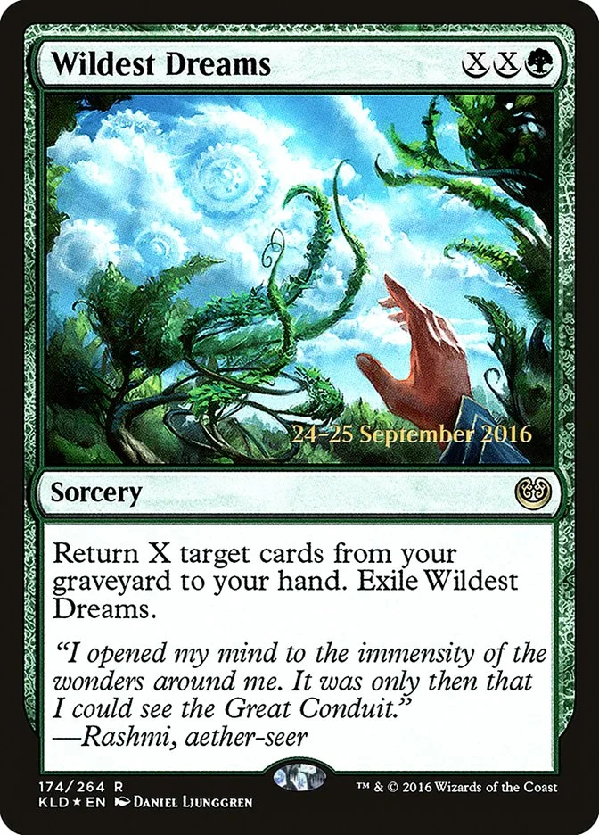 Wildest Dreams 「PKLD/174s」「EN」