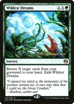 Wildest Dreams 「PKLD/174s」「EN」