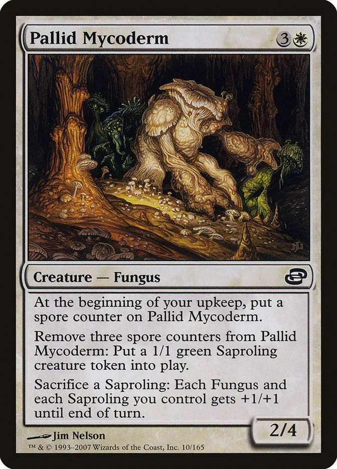 Pallid Mycoderm 「PLC/10」「EN」