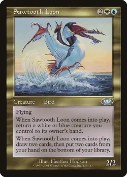 Sawtooth Loon 「PLS/123」「EN」