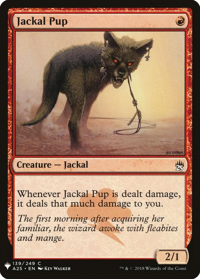 Jackal Pup 「PLST/A25-139」「EN」