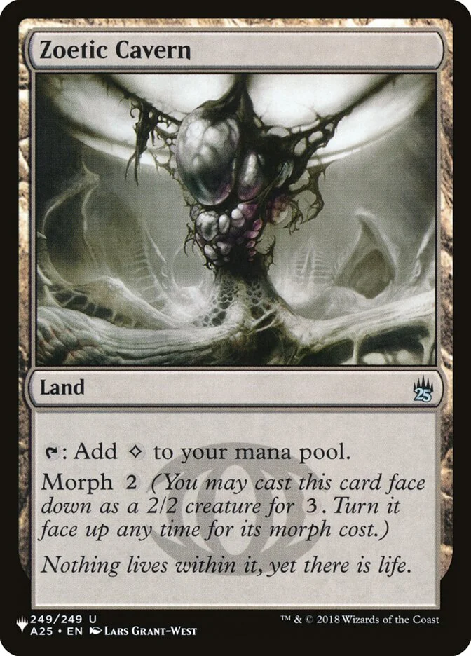 Zoetic Cavern 「PLST/A25-249」「EN」