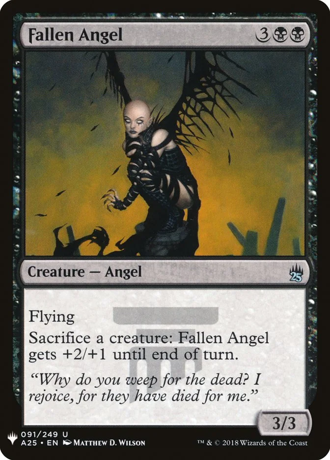 Fallen Angel 「PLST/A25-91」「EN」