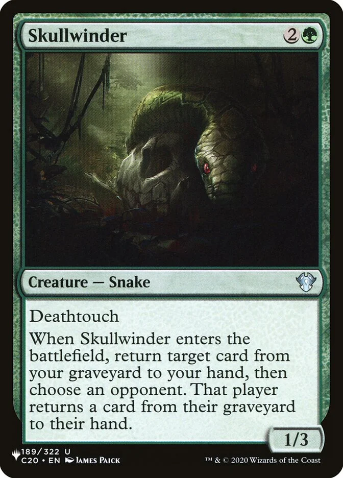Skullwinder 「PLST/C20-189」「EN」