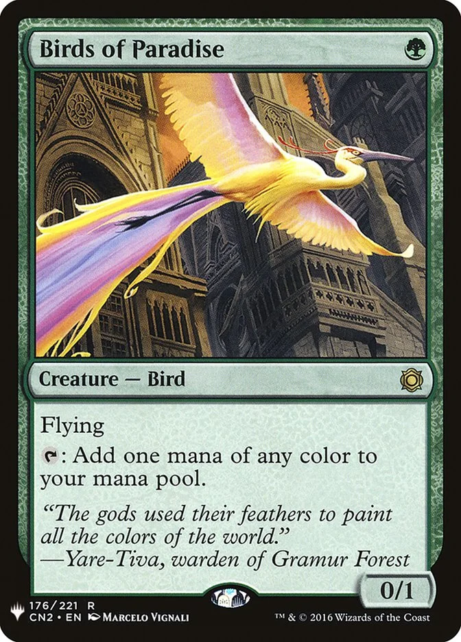 Birds of Paradise 「PLST/CN2-176」「EN」