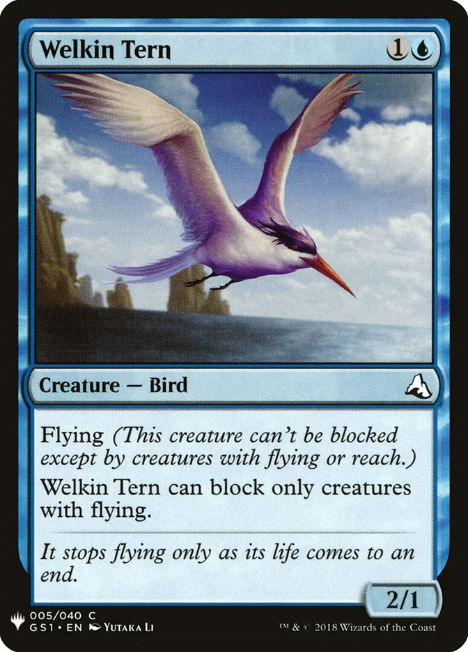 Welkin Tern 「PLST/GS1-5」「EN」
