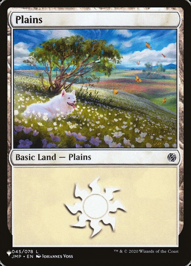 Plains 「PLST/JMP-45」「EN」