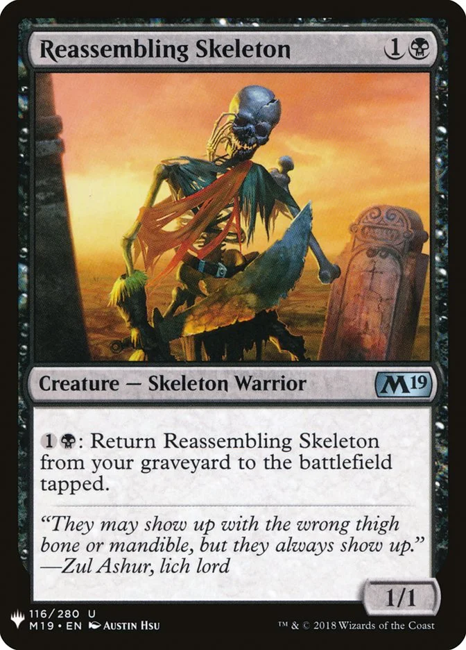 Reassembling Skeleton 「PLST/M19-116」「EN」