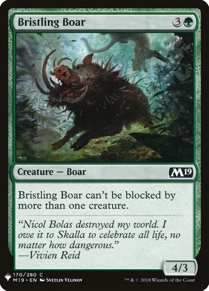 Bristling Boar 「PLST/M19-170」「EN」