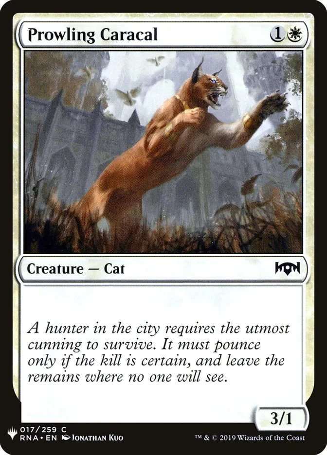 Prowling Caracal 「PLST/RNA-17」「EN」